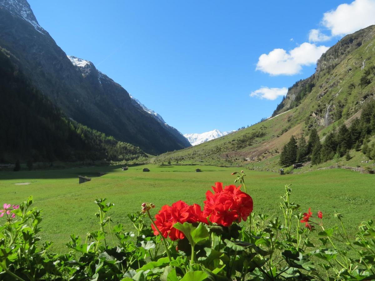 Haus Frank Pitztal Διαμέρισμα Sankt Leonhard im Pitztal Εξωτερικό φωτογραφία